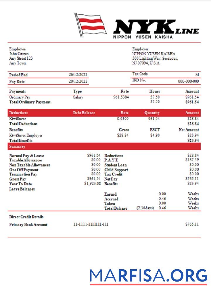 Printable USA Nippon Yusen Kaisha shipping company pay stub (1) template